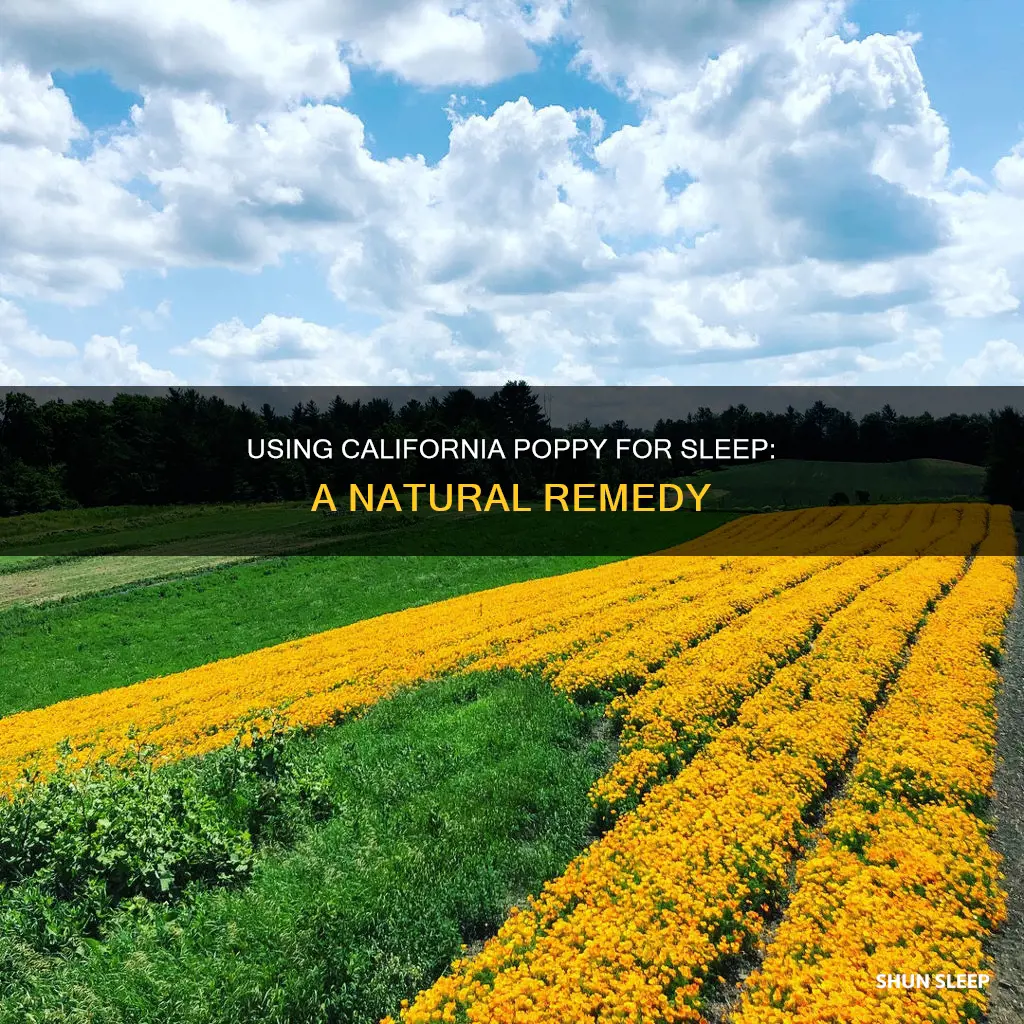 how to use california poppy for sleep