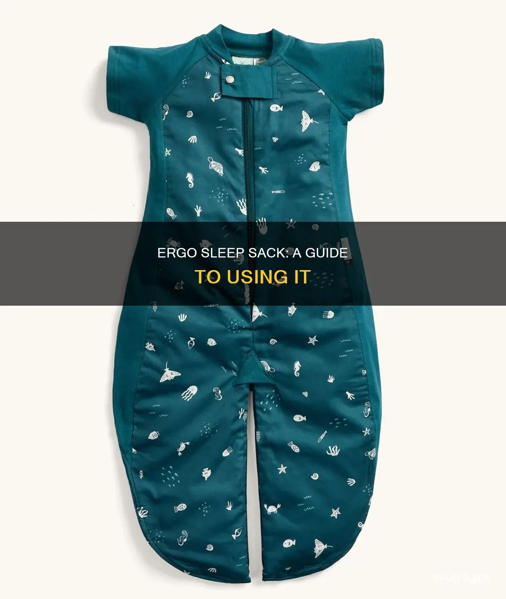 how to use ergo sleep sack