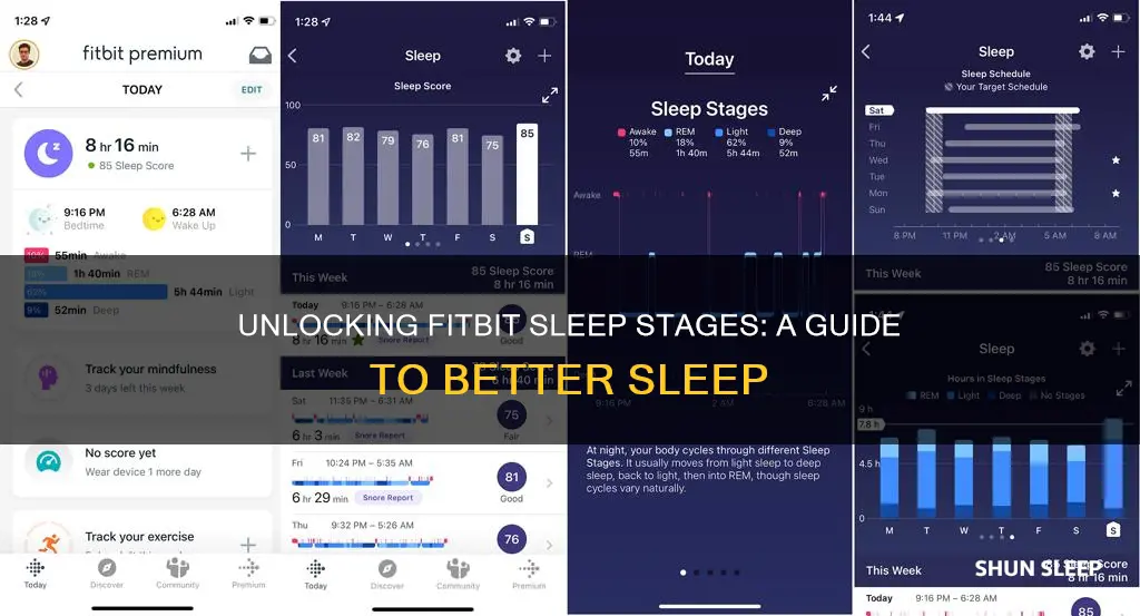 how to use fitbit sleep stages