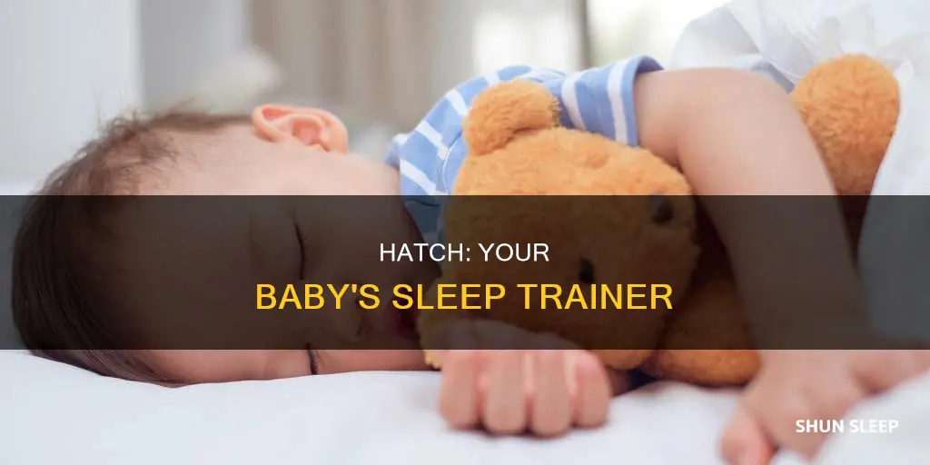 how to use hatch to sleep train