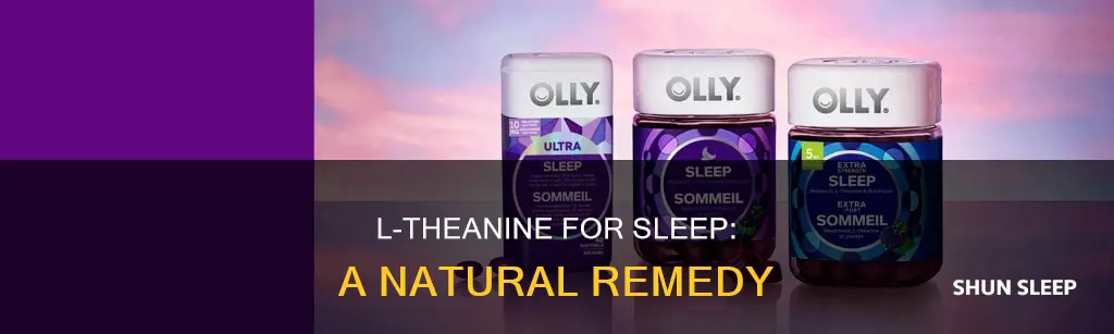 how to use l-theanine for sleep