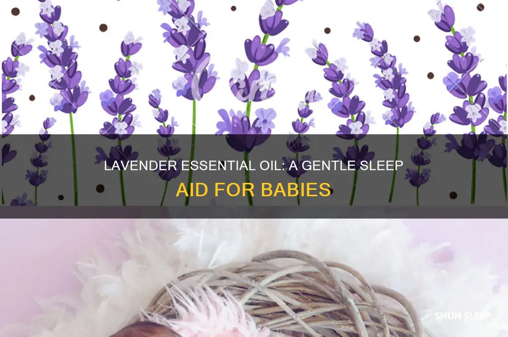 how to use lavender essential oil to help baby sleep