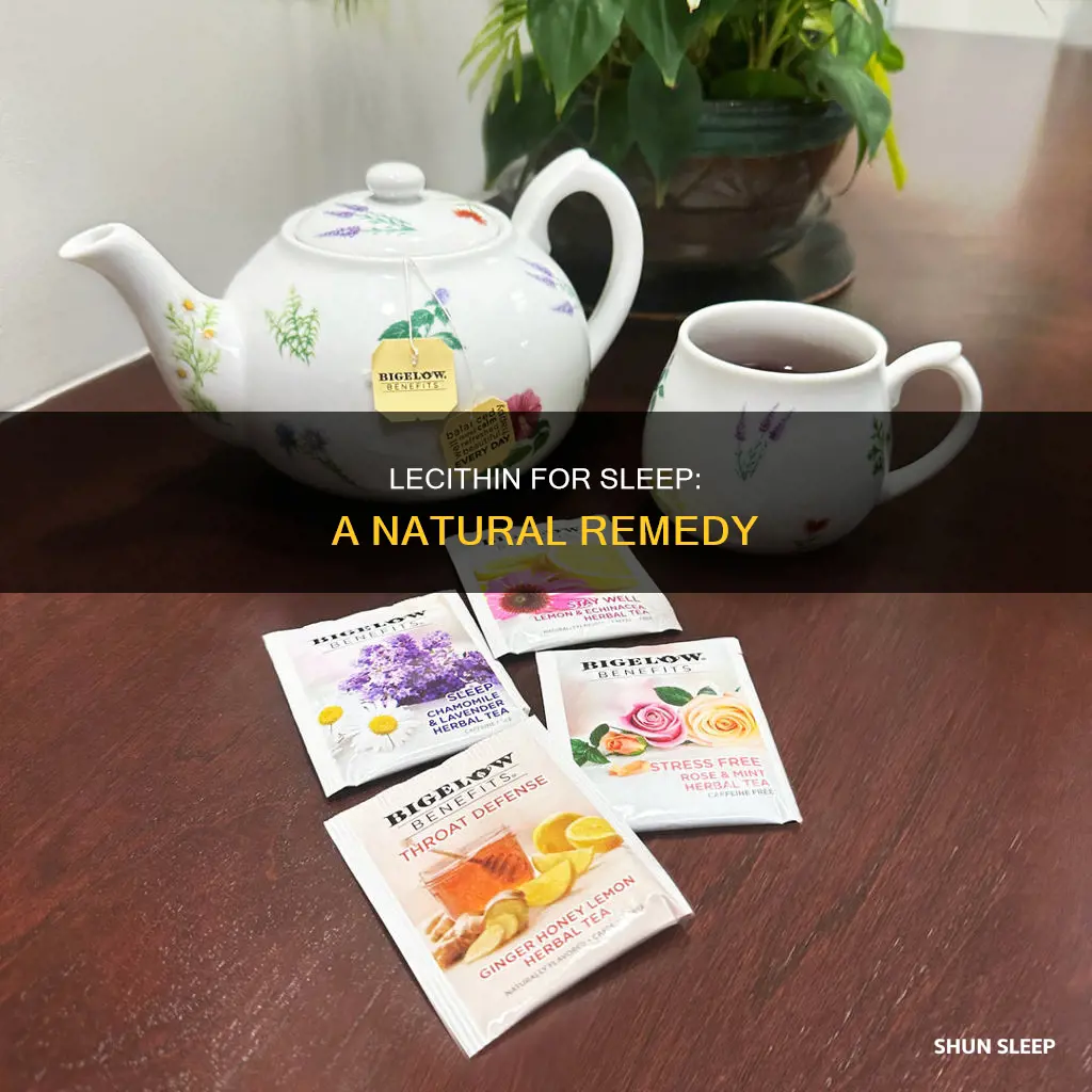how to use lecithin for sleep