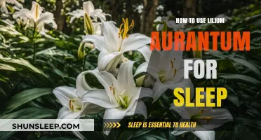 Utilizing Lilium Aurantium for Better Sleep