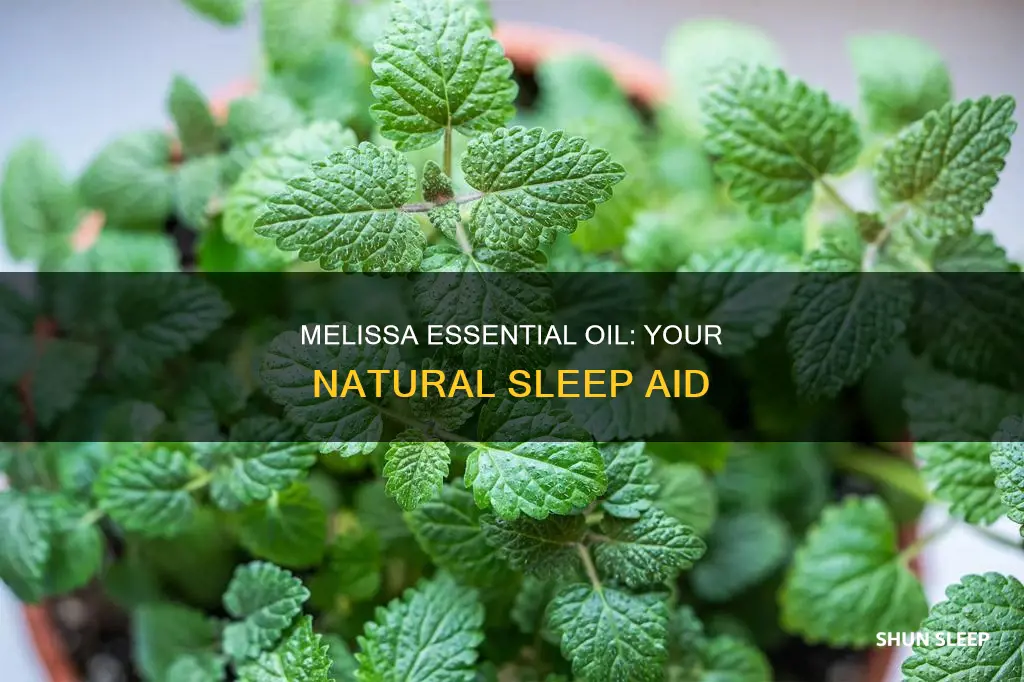how to use melissa essential oil for sleep