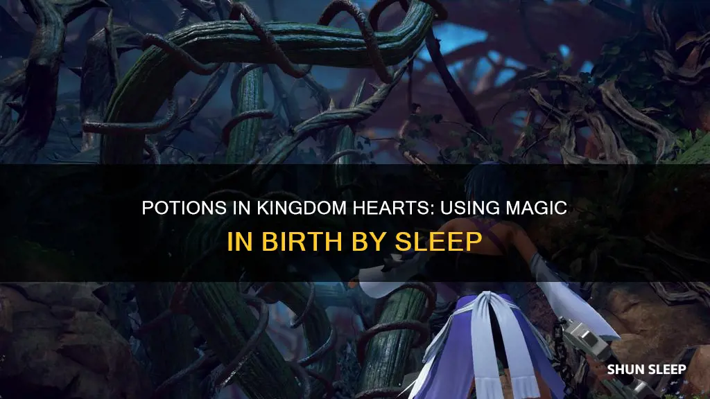 how to use potions in kingdom hearts birth by sleep