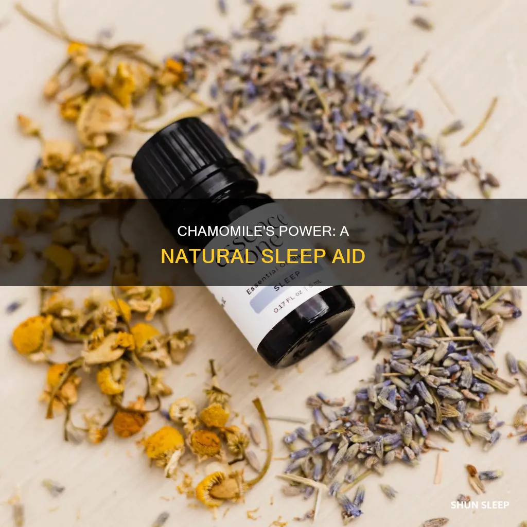 how to use roman chamomile essential oil for sleep