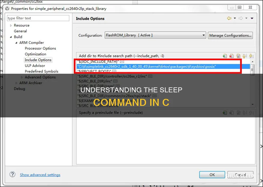 how to use sleep command in c