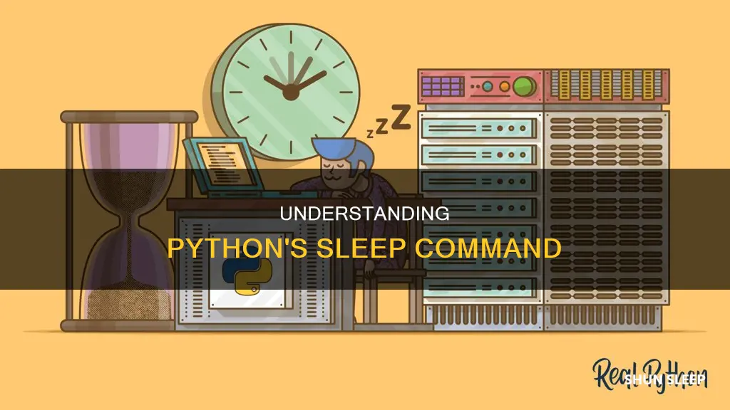 how to use sleep command in python