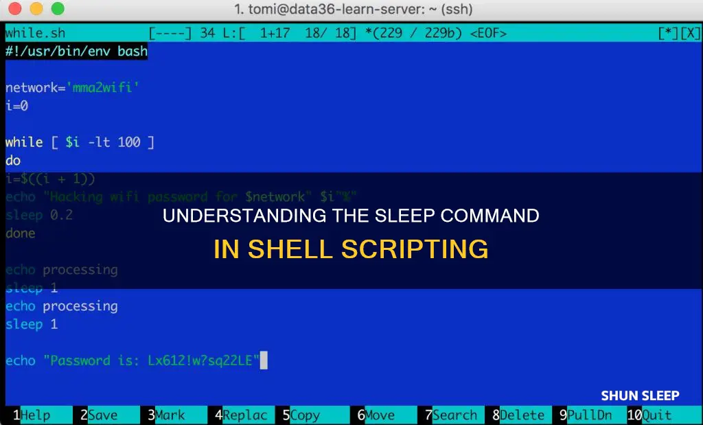 how to use sleep command in shell script