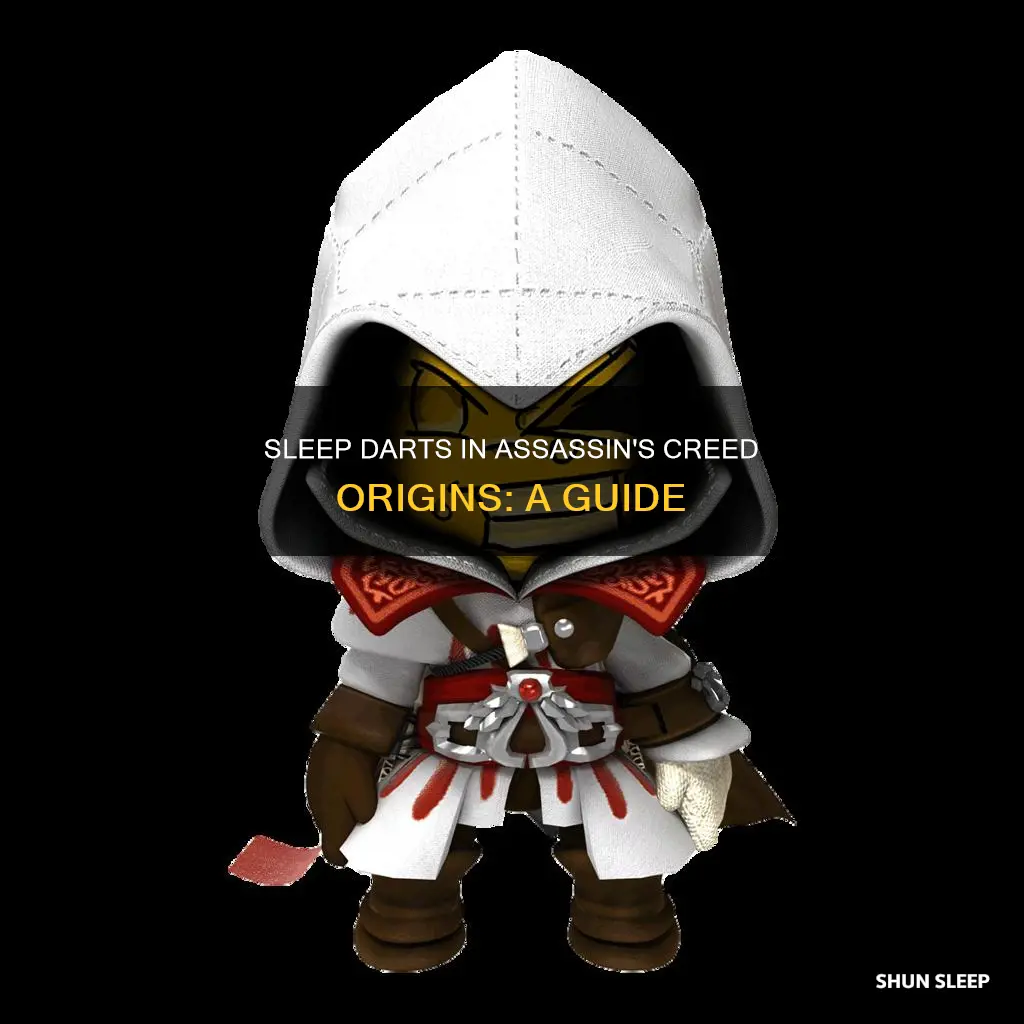 how to use sleep darts in assassin