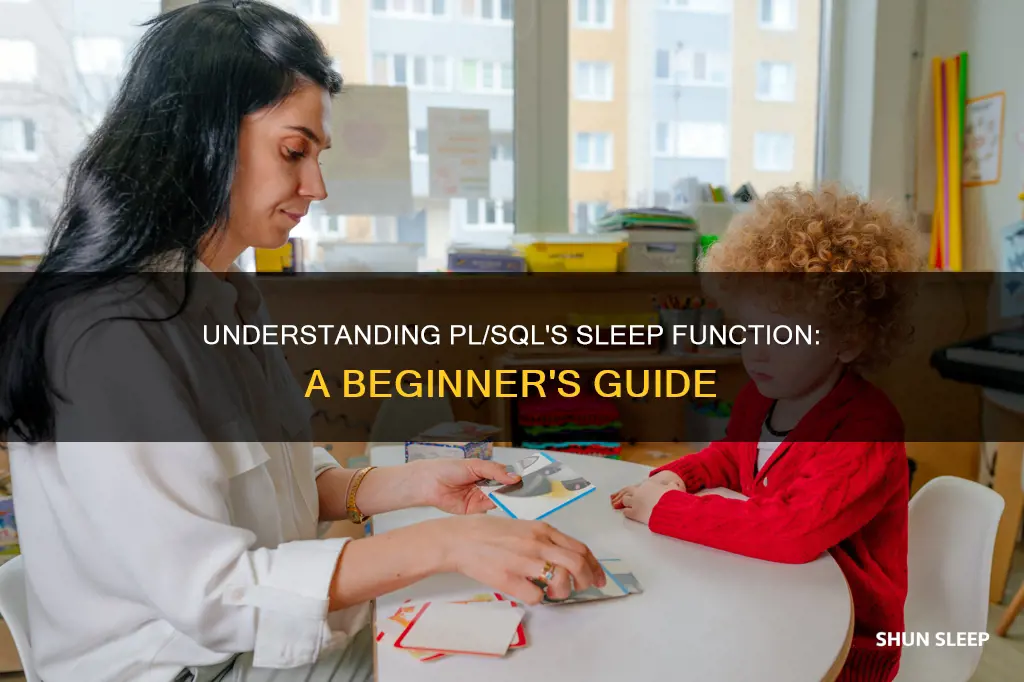 how to use sleep function in pl sql