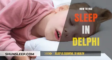 Delphi Sleep Function: A Practical Guide