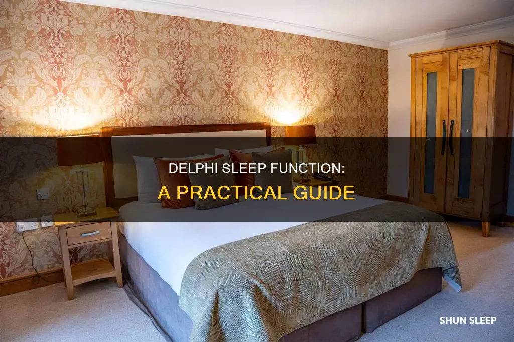 how to use sleep in delphi