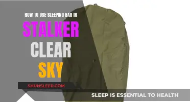 Using a Sleeping Bag in Stalker: Clear Sky