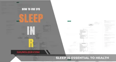 Utilizing Sys Sleep in R Programming