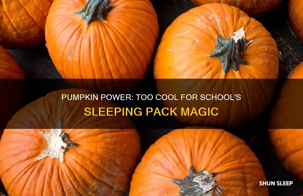 how to use too cool for school pumpkin sleeping pack