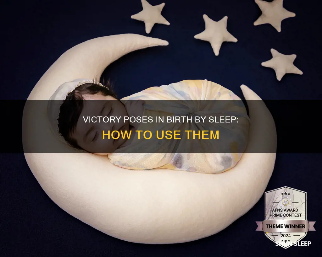 how to use victory pose in birth by sleep