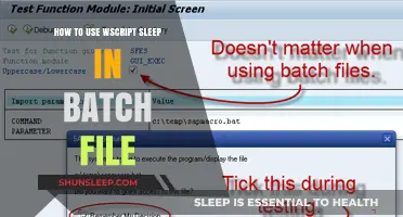 Utilizing Wscript Sleep in Batch Files