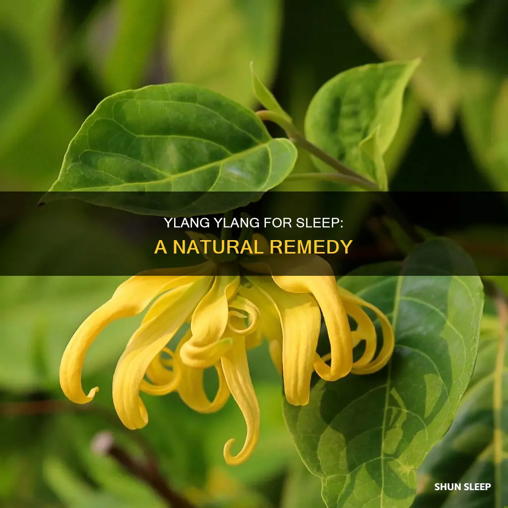 how to use ylang ylang for sleep