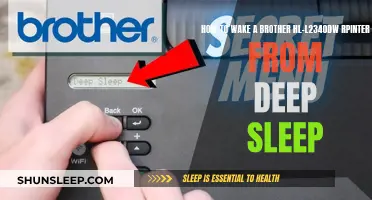 Awakening Your Brother HL-L2340DW Printer: Tips for Deep Sleep Recovery