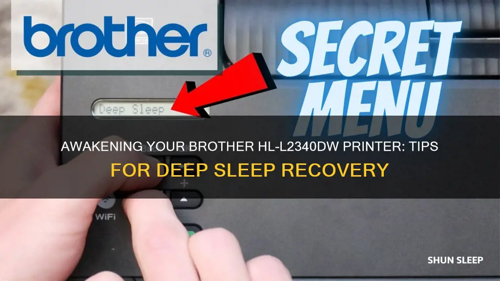 how to wake a brother hl-l2340dw rpinter from deep sleep