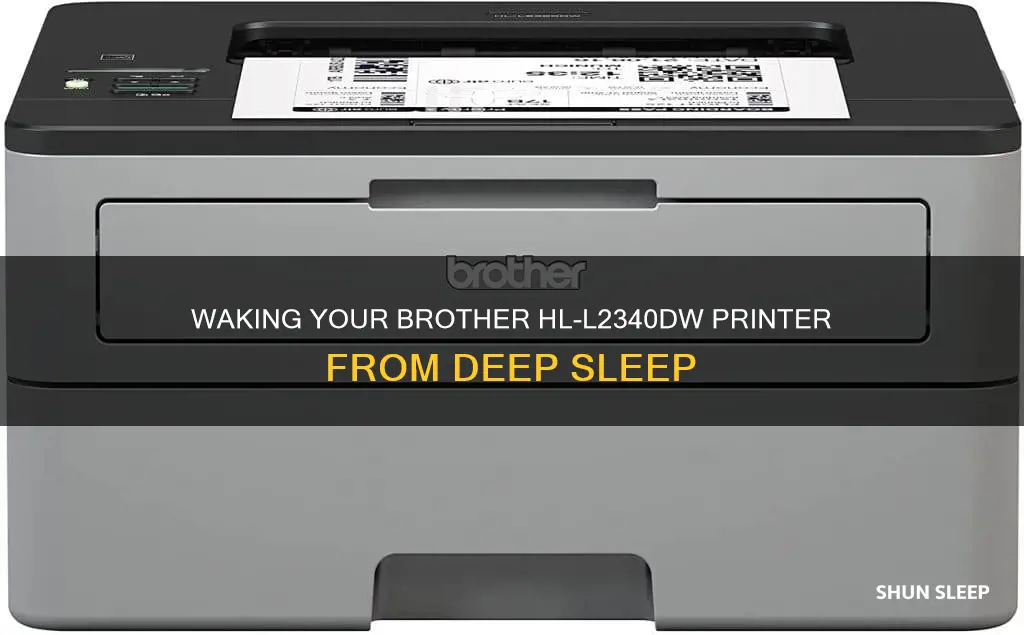 how to wake a brother hl-l2340dw rpinter from deep sleep
