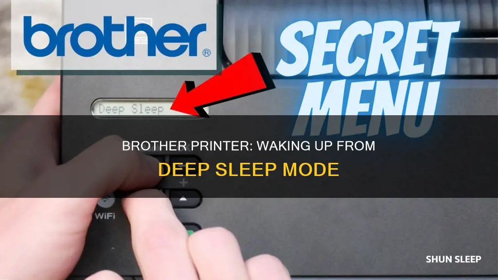 how to wake a brother printer from deep sleep