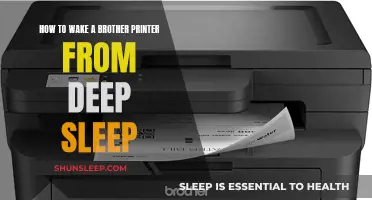 Waking a Brother Printer from Deep Sleep Mode