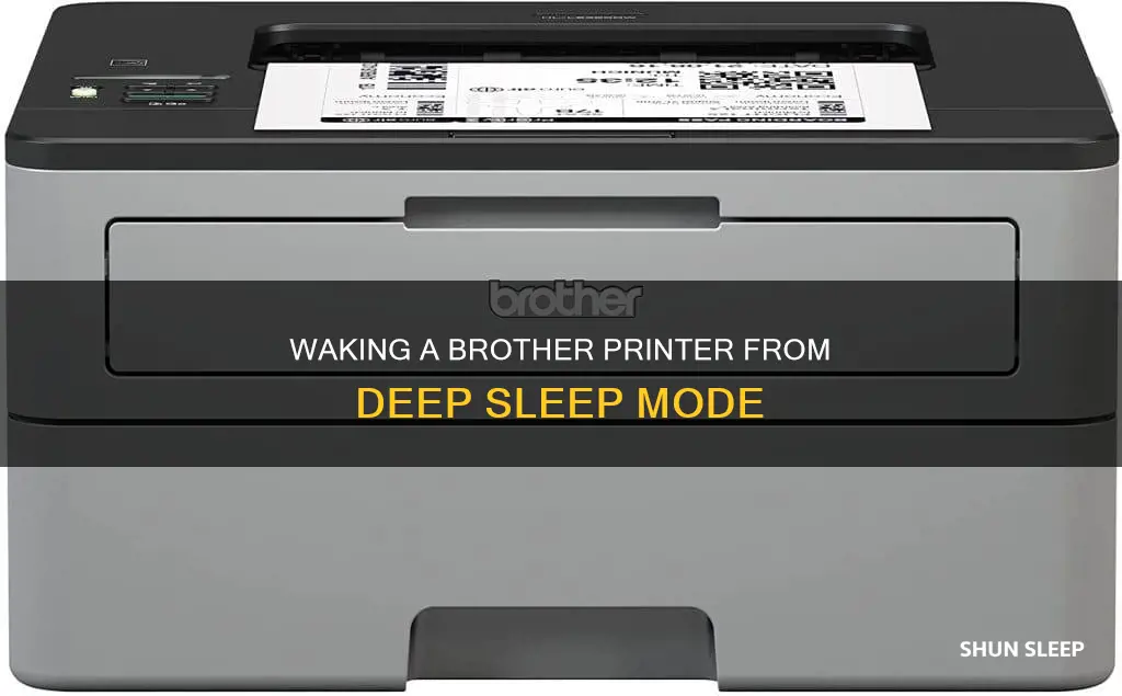 how to wake a brother printer from deep sleep