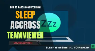 Waking a Remote Computer from Sleep via TeamViewer