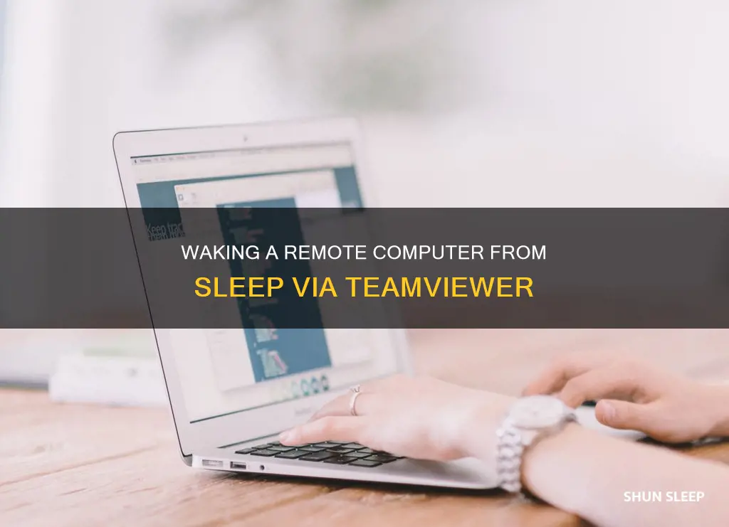 how to wake a computer from sleep accross teamviewer