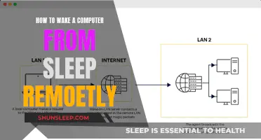Waking a Sleeping Computer: Remote Access Techniques