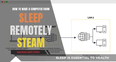 Waking a Computer from Sleep Remotely: Steam's Remote Access