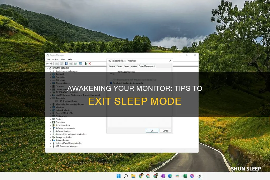 how to wake a monitor from sleep