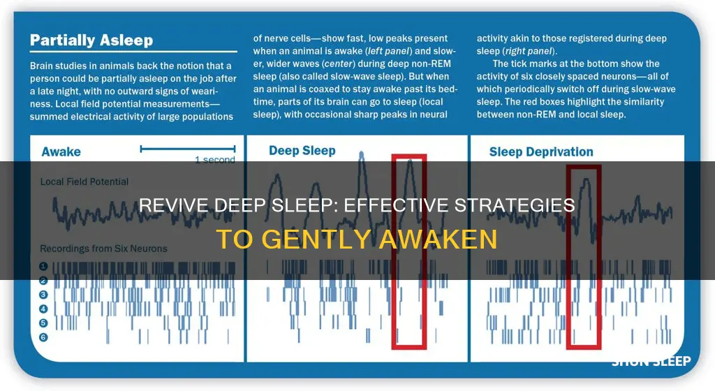 how to wake a person from deep sleep