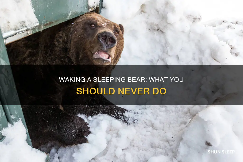 how to wake a sleeping bear