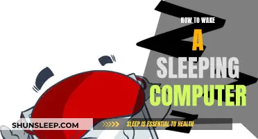 Waking a Sleeping Computer: Simple Tricks to Try