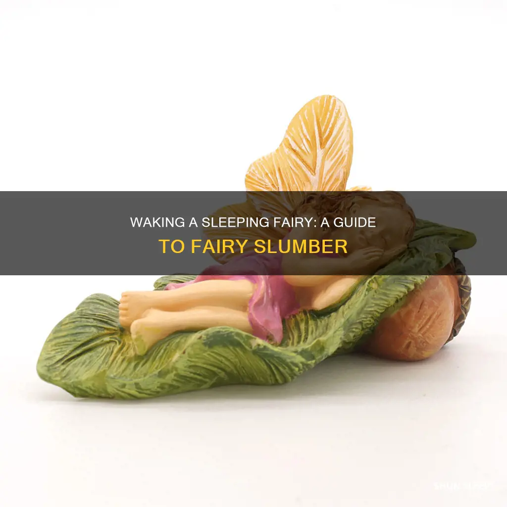 how to wake a sleeping fairy