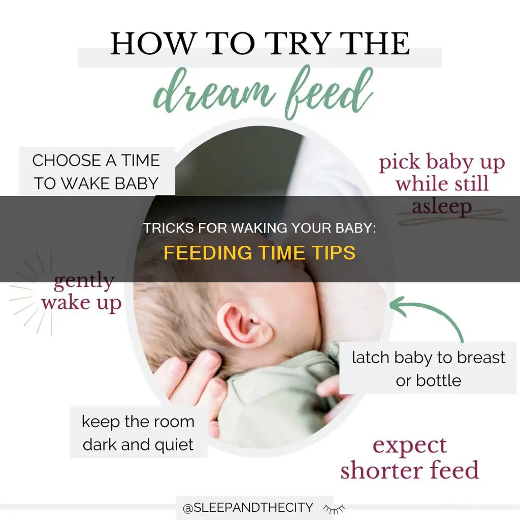 how to wake a sleeping infant to feed