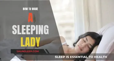 Gentle Strategies: Waking a Lady's Slumber Without Disruption