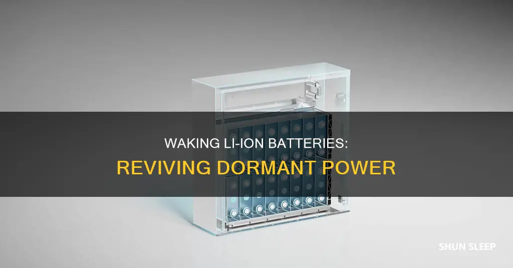 how to wake a sleeping li-ion battery