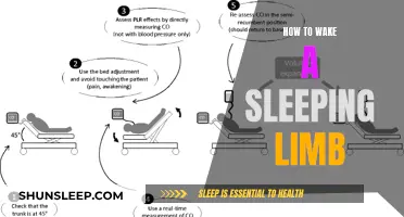 Awakening the Slumbering Limb: Strategies for Revitalizing Your Body