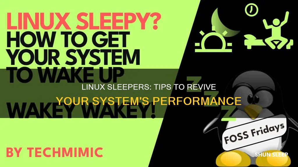 how to wake a sleeping linux