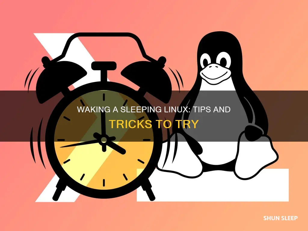 how to wake a sleeping linux