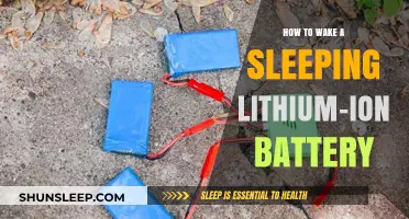 Revive Your Battery: Simple Steps to Wake a Slumbering Lithium-Ion