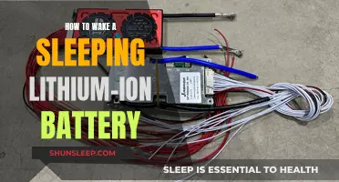 Reviving Lithium-Ion Batteries: A Step-by-Step Guide