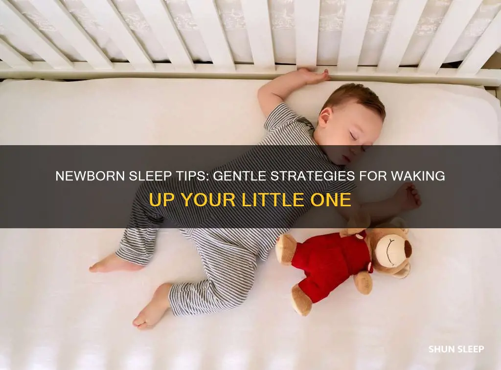 how to wake a sleeping newborn