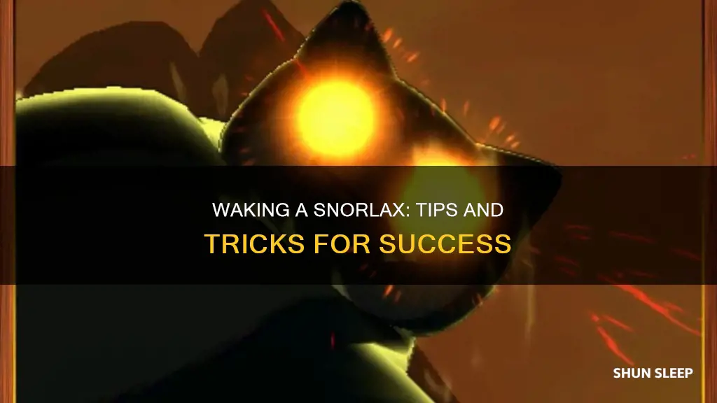 how to wake a sleeping snorlax
