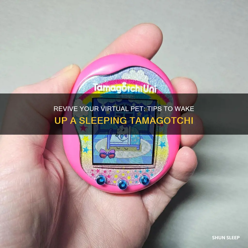 how to wake a sleeping tamagotchi